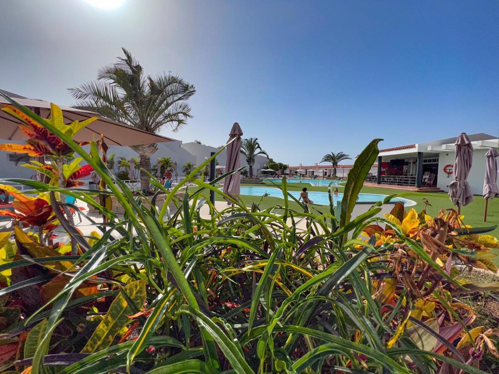 Malibu Park Apartments Sol Costa Adeje  Esterno foto